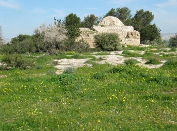 Tocht Te voet מועצה אזורית לכיש - IL-Parts are also a Regional Trail - Photo