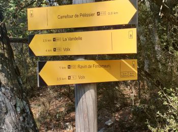 Randonnée Trail Volx - volx - Photo