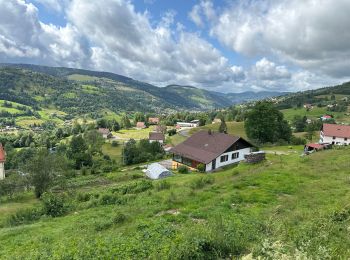 Randonnée Vélo électrique Gérardmer - Les lacs de Gérardmer - Photo