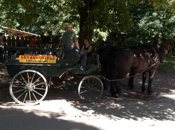 Randonnée A pied Szilvásvárad - Szilvásvárad - Szalajka-völgyi Tanösvény - Photo