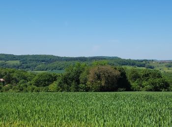 Percorso Marcia Oricourt - oricourt, oppenans,  aillevans  - Photo