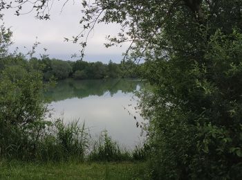 Randonnée Marche Aix-Villemaur-Pâlis - Villemaur sur Vanne - Photo