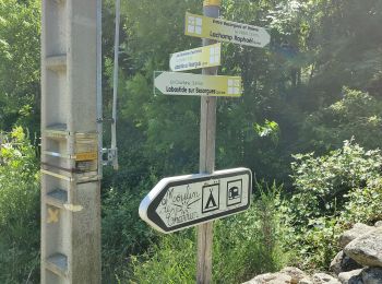 Tour Wandern Labastide-sur-Bésorgues - la Bastide sur bezorgie - Photo