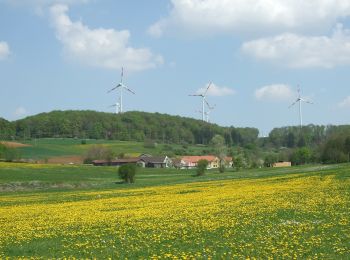 Percorso A piedi Heidenheim - Quellenweg (Hahnenkamm) - Photo