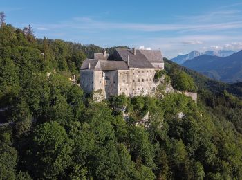 Trail On foot Micheldorf in Oberösterreich - Kulturweg - Photo