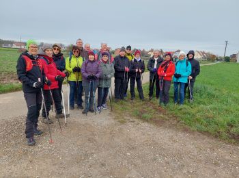 Randonnée Marche nordique Sundhoffen - 1411 - Photo