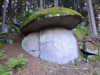 Randonnée A pied Bad Leonfelden - Rading-Weigetschlag-Ablege-Sternstein 11 - Photo