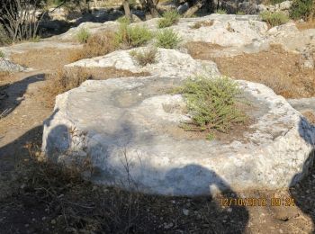 Tour Zu Fuß Regionalverwaltung Mateh Jehuda - בין זנוח לסיפלה - Photo