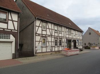 Trail On foot Fuldatal - Heidelbeerweg - Photo