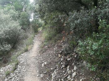 Trail Walking La Roque-Alric - Rochers des Évêques  - Photo