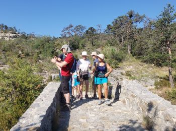 Randonnée Marche Trigance - LE pont du Sautet,de Carajuan et le belvédère des vautours - Photo