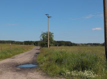 Tour Zu Fuß Spreewaldheide - Wanderweg Butzen-Byhlener See - Photo