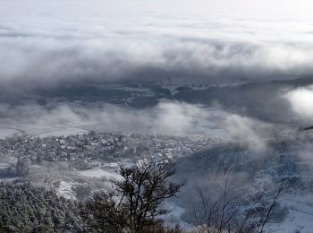 Excursión Senderismo Ottrott - 2022-12-18 Picnic CVA Mt Ste Odile a pied - Photo