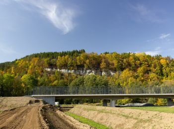 Tocht Te voet Marktrodach - Zeyern-Runde - Photo