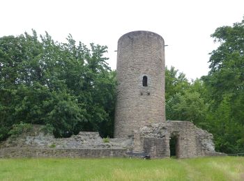 Tour Zu Fuß Bad Soden-Salmünster - Stolzenberger Ritterblick ( Spessartfährten ) - Photo