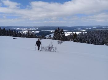 Tocht Ski randonnée Longevilles-Mont-d'Or - 20-03-21 SRN avec Evasions Nordiques - Photo