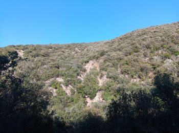 Excursión Senderismo Ansignan - sentier des dolmens en fenouillèdes - Photo