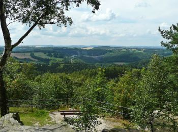 Excursión A pie Bad Gottleuba-Berggießhübel - Gelber Punkt Bahratal - Photo