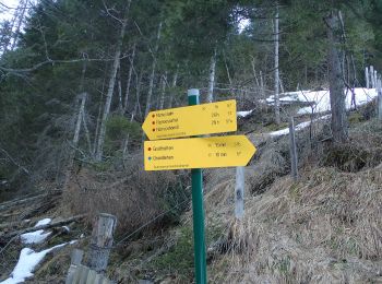 Trail On foot Großarl - Wanderweg 62 - Photo