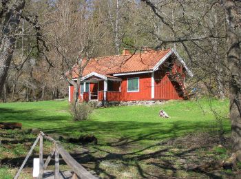 Trail On foot  - Mörtsjöslingan - Photo