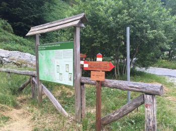 Trail On foot Casola in Lunigiana - IT-181 - Photo
