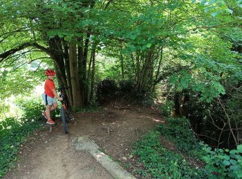 Trail Mountain bike Margès - Balade au bord de l'Herbasse - Photo