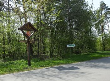 Trail On foot Zwoleń - Zwoleń PKS - Garbatka Letnisko ul. Kochanowskiego - Photo