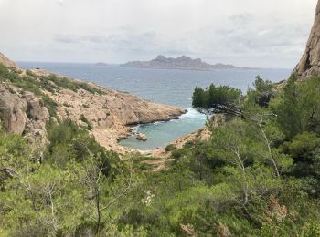 Tocht Stappen Marseille - Marseillveyre  - Photo