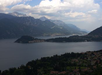 Tour Zu Fuß Colonno - Greenway del Lago di Como - Photo