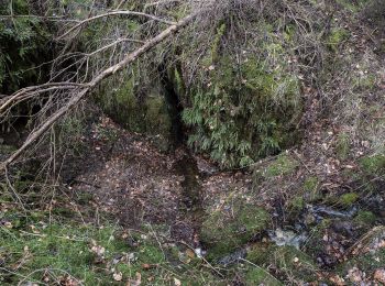 Tour Zu Fuß Königstein - Neuhaus-Rundwanderweg No.10 - Photo