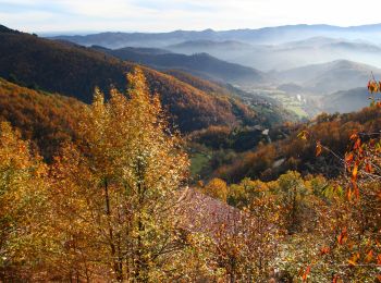 Trail Walking Pont-de-Labeaume - 2022-09-20_11h09m21_Ste Marguerite-Aubignas 18km.gpx (1).xml - Photo