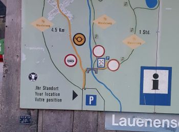Trail Walking Lauenen - lauenen - Photo