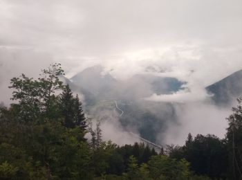 Tocht Stappen Val-d'Arc - coupe sous les mauilles - Photo