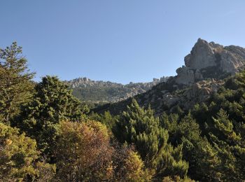 Trail On foot Manzanares el Real - [RV 21] Circular Collado Cabrón - Photo