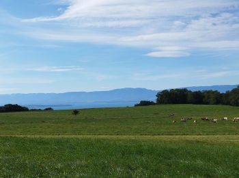 Tour Wandern Féternes - feternes - Photo