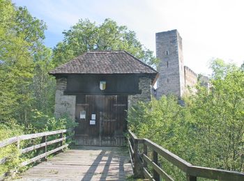 Trail On foot Gemeinde Hardegg - Merkersdorfer Rundwanderweg - Photo