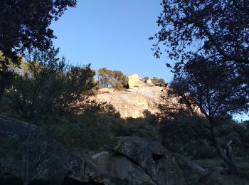 Tocht Stappen Lamanon - Lamanon : Tour du Défends Grotte de Cales - Photo