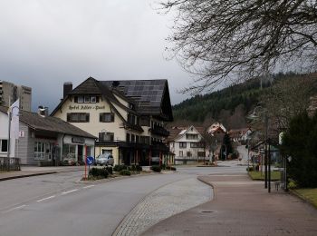 Randonnée A pied Baiersbronn - Obertal - Ruhestein - Photo