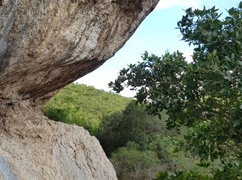 Randonnée Marche Roquefort-la-Bédoule - 20211111 la redonne  - Photo