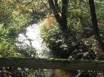 Trail On foot Wenzendorf - Wander-Tour Este Ost - Photo