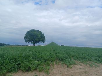 Tocht Mountainbike Sint-Genesius-Rode - 62 km de Halle - Photo