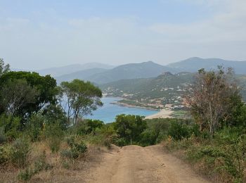 Trail Walking Calcatoggio - Murtetu (boucle) - Photo