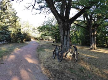 Percorso Bici ibrida Saint-Priest - VTT - Saint Priest Mairie au Parc de Parilly - Photo
