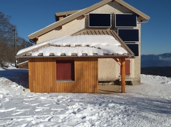 Tocht Sneeuwschoenen Valserhône - col de Cuvery 2 - Photo