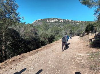 Tour Wandern Cuers - pilon St Clément-06-03-2024 - Photo