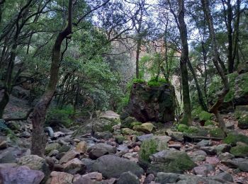Percorso Marcia Bagnols-en-Forêt - Gorges du Blavet au col de la pierre du coucou - Photo