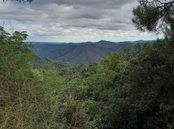 Trail Walking Saint-Jean-du-Gard - Col St Pierre,  sentier d 'Auriol - Photo