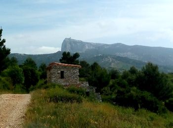 Excursión Bici de montaña Gémenos - Jas de Miceau  en boucle depuis Gemenos - Photo