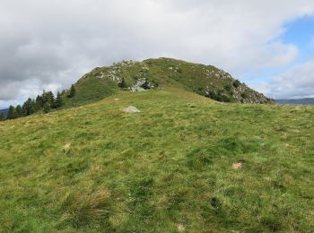Trail On foot Mont-Dore - Le Capucin et le Puy de Cliergue - Photo