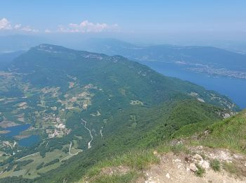 Tour Wandern La Chapelle-du-Mont-du-Chat - 270523 Tour et Dent du Chat - Photo